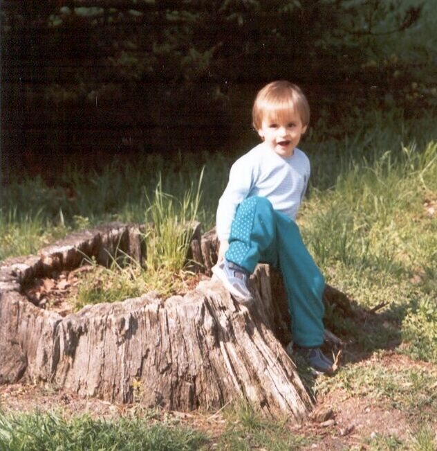 Pixie on the stump - 92.109 bytes